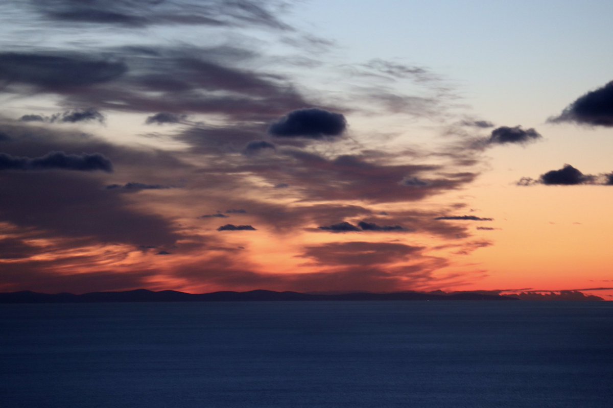 Dylan Williams tweet media