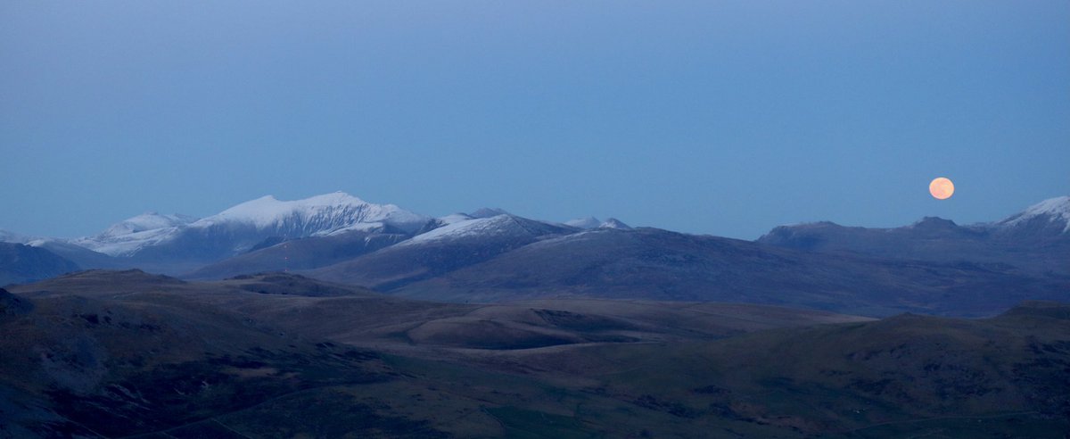 Dylan Williams tweet media