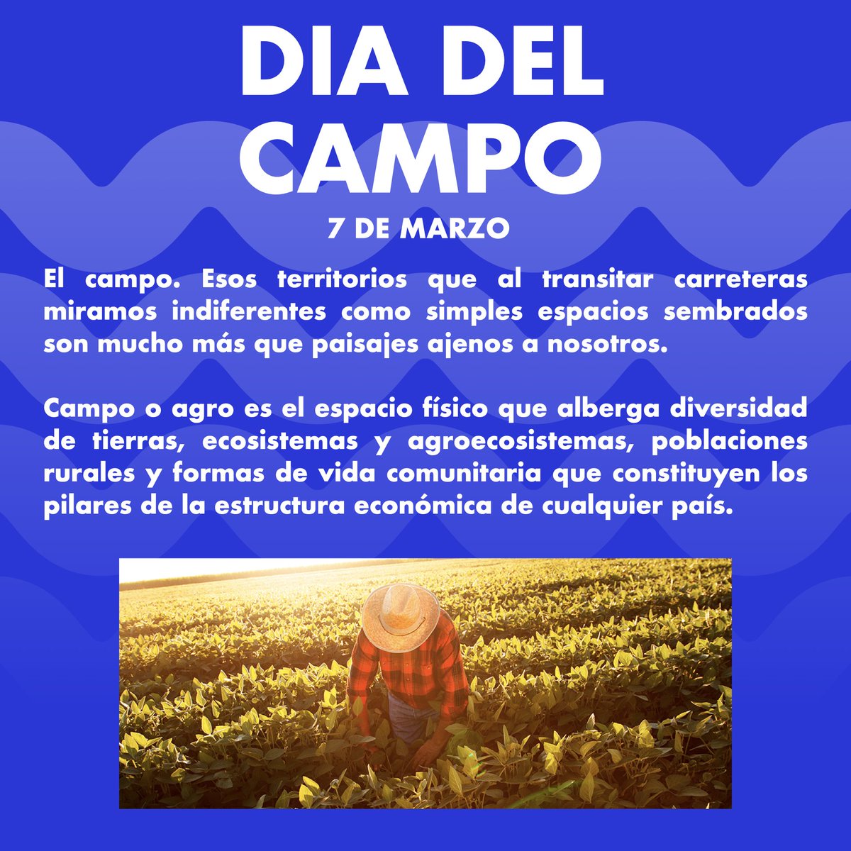 Holawaveradio's tweet photo. Hoy festejamos el #DiaDelCampo #7Demarzo y hablamos un poco de ello en #Radiolas x @Okluarrr
https://t.co/E1KRxLHWtH https://t.co/QkTeXNH4Xs