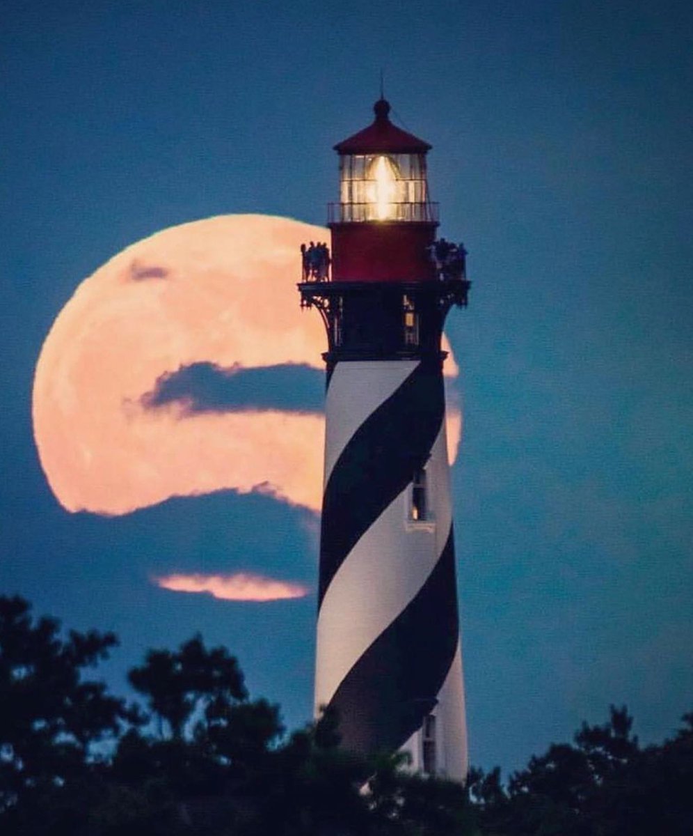 firstlighthouse tweet media