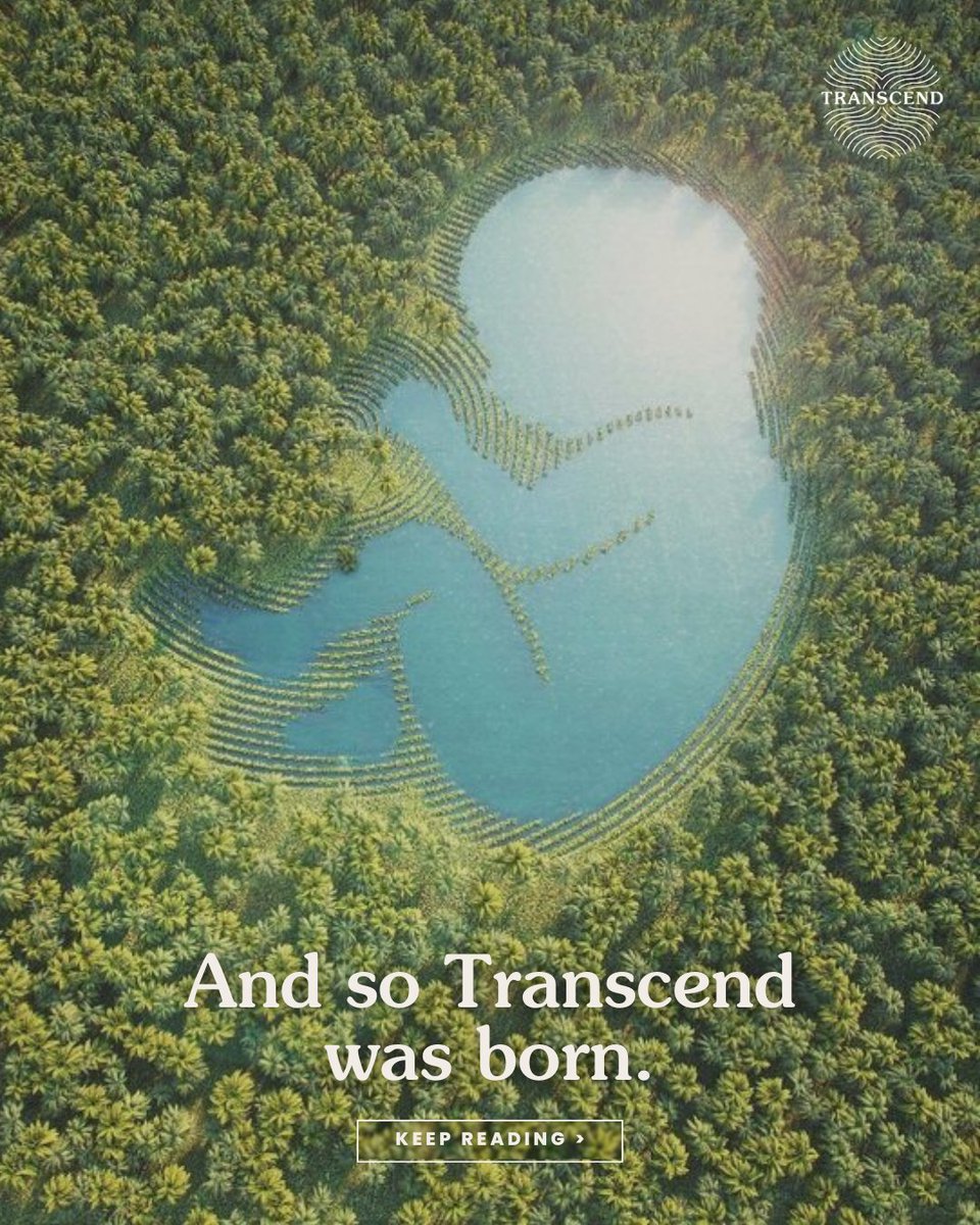 Transcendtrees's tweet photo. Hello!
We’re Transcend, and we’re rewilding the world by planting people (and pets) as trees when they die.
Here's the story of how we came to be and where we are going.
Thanks for being part of the #FutureTree movement — we can't wait to see the impact we'll make, together. https://t.co/H7CeOY0qZd