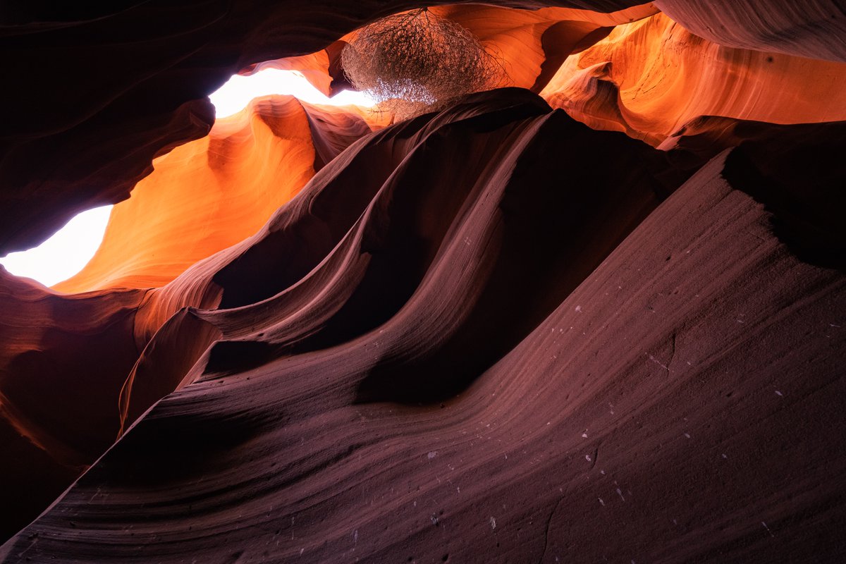 PresentPhotos's tweet photo. The amazing glow and swirls of slot canyons https://t.co/rsg4EubfcX