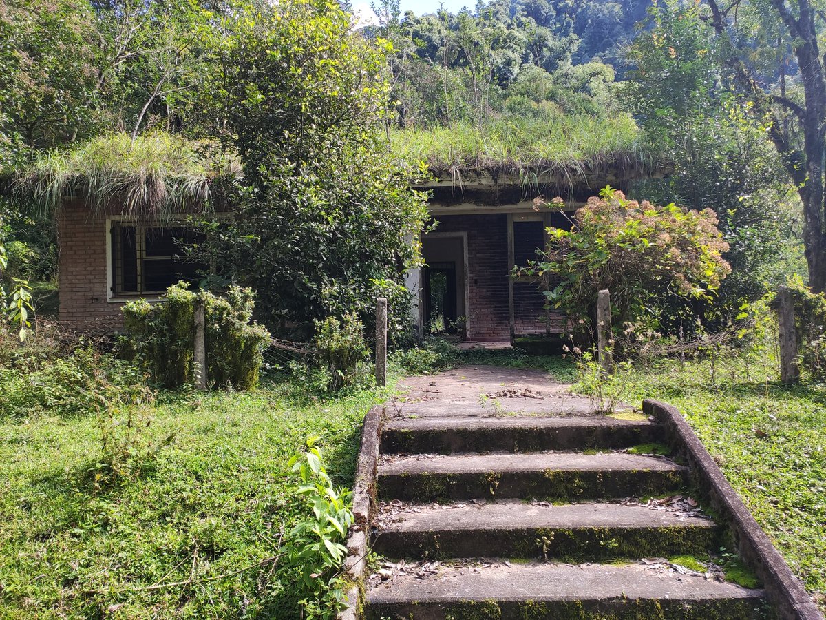pablo_aon's tweet photo. Parque Provincial La Florida, parte del paisaje protegido Aconquija. Poner en valor las ANP de Tucumán es un camino ineludible en la agenda ambiental de la provincia. Cuidar lo que tenemos y restaurar lo que falta. #tucuman #noa #parques #yunga #conservacion https://t.co/39hVh8ntLY