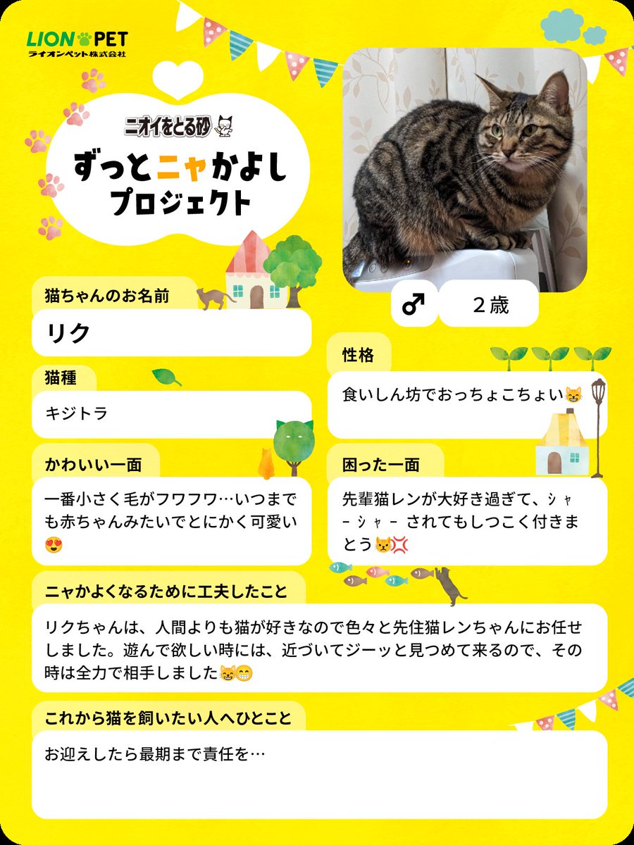 「ずっとニャかよしプロジェクト」
今日はリクちゃんで参加です🐈✨

投稿１件につき22円が保護猫支援活動に寄付されるそうです🐱
猫飼いさんは是非参加を…3月22日迄

#ずっとニャかよし 
lion-pet.jp/catsuna/zutto_…