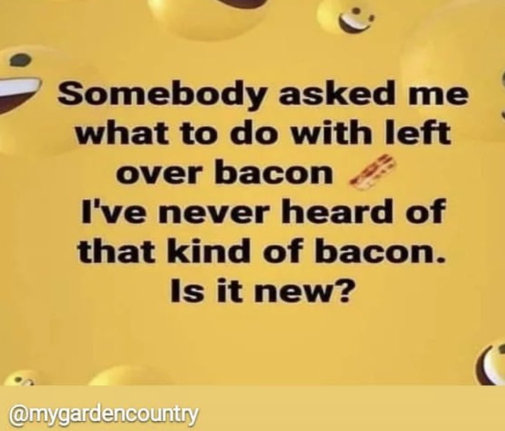 <a href="/MrBaconsBacon/">MrBaconsBacon</a>