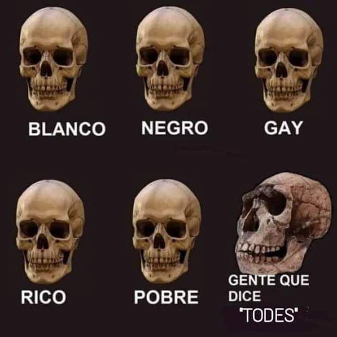 chochosoficial's tweet photo. Dejaré esto por aquí... https://t.co/wOltmkERU4