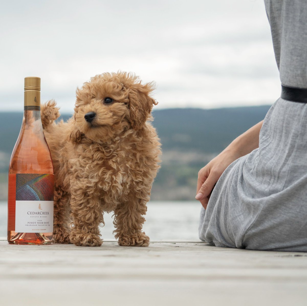Our Rosé release is only two days away, and there is still time to sign up to our waitlist! Be the first in line to receive this specialty sip of spring launching Thursday to those exclusively on our Waitlist. Celebrate this sensational sip with us.
bit.ly/413qnJg