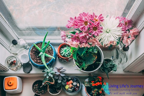 JusticeLLJCS's tweet photo. Houseplants can help boost your mood—some of the best 🌿 are lavender, aloe, basil, and English ivy. https://t.co/4n39zrU89G  | https://t.co/SBe3i9JUbW https://t.co/brLwlgtR4I