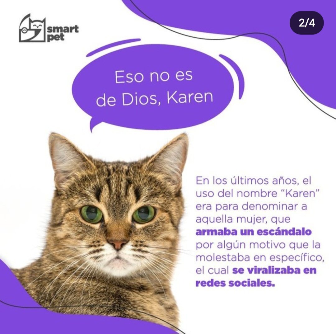 smartpetsv's tweet photo. ¿Te has preguntado por qué sos Karen o Karen Macho si eres amante de los gatos? Aquí te contamos un poco de la historia de Karen Wellen:
#TheLifeOfASmartPet #DeliveryForYourBestFriend #SmartFact #SmartPetElSalvador https://t.co/f8i9zFRhPs