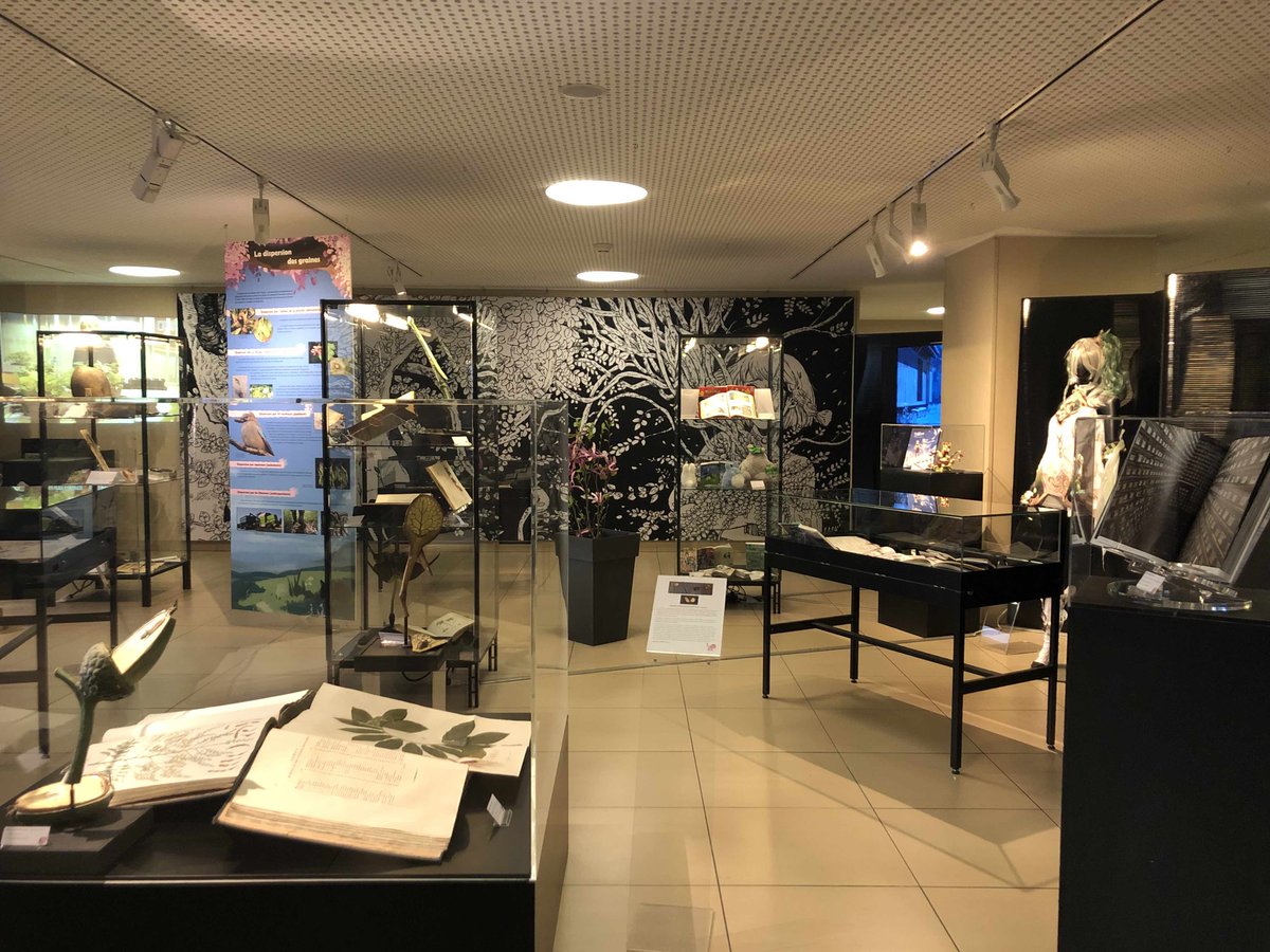 PuijalonS's tweet photo. C’est parti !! L’exposition « Tant qu’on sème » du 13ème Festival Science et Manga, c’est à la @BULyon1 , jusqu’au 23 Avril 2023 !!
@LEHNA_lab @herbierly https://t.co/7kUouBkweH