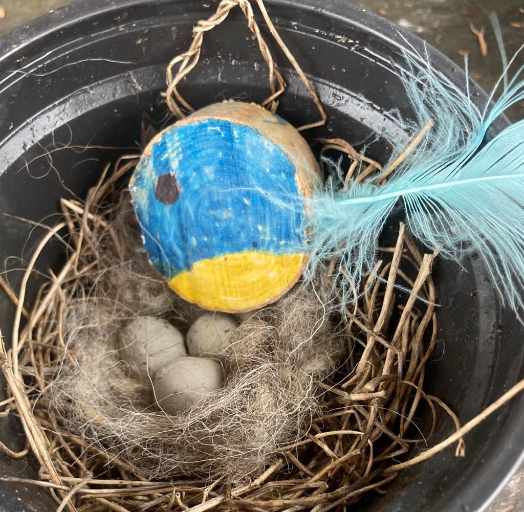 Patcham Infant School tweet media