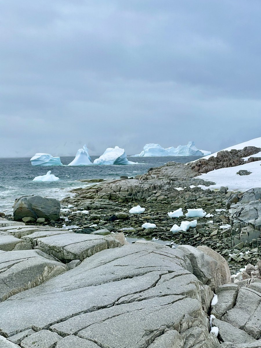 Magnificent granites on Portal Point @auroraexpeditions