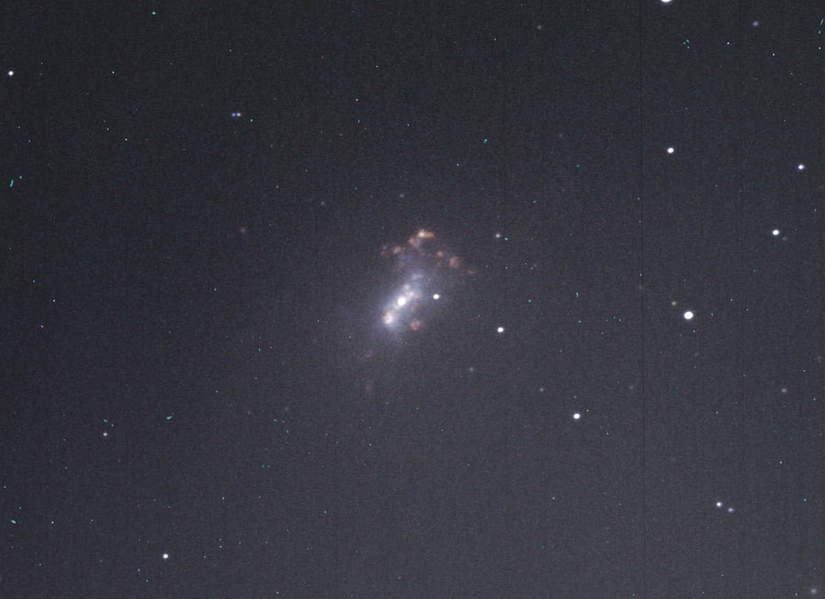 NGC 4449, Taken on the Celestron C14 East at <a href="/UCL/">UCL</a> Observatory. Not too bad for my first attempt!