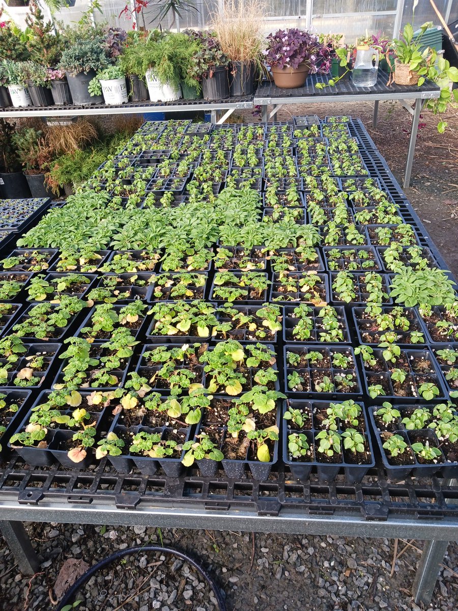 Mrs.EArnold tweet media