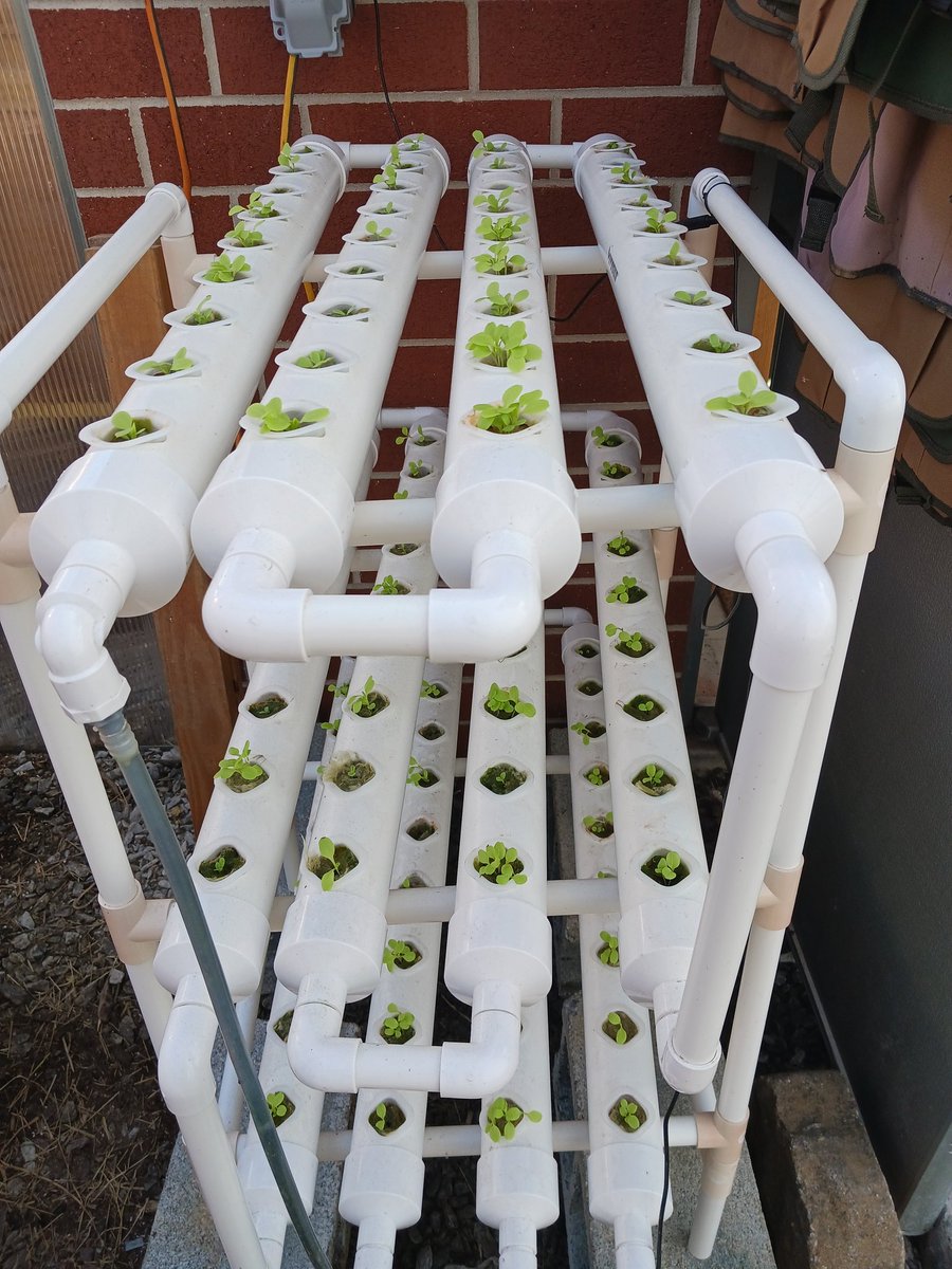 Mrs.EArnold tweet media