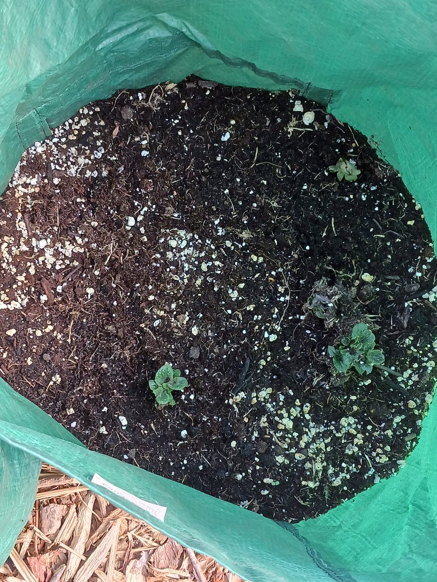 Mrs.EArnold tweet media