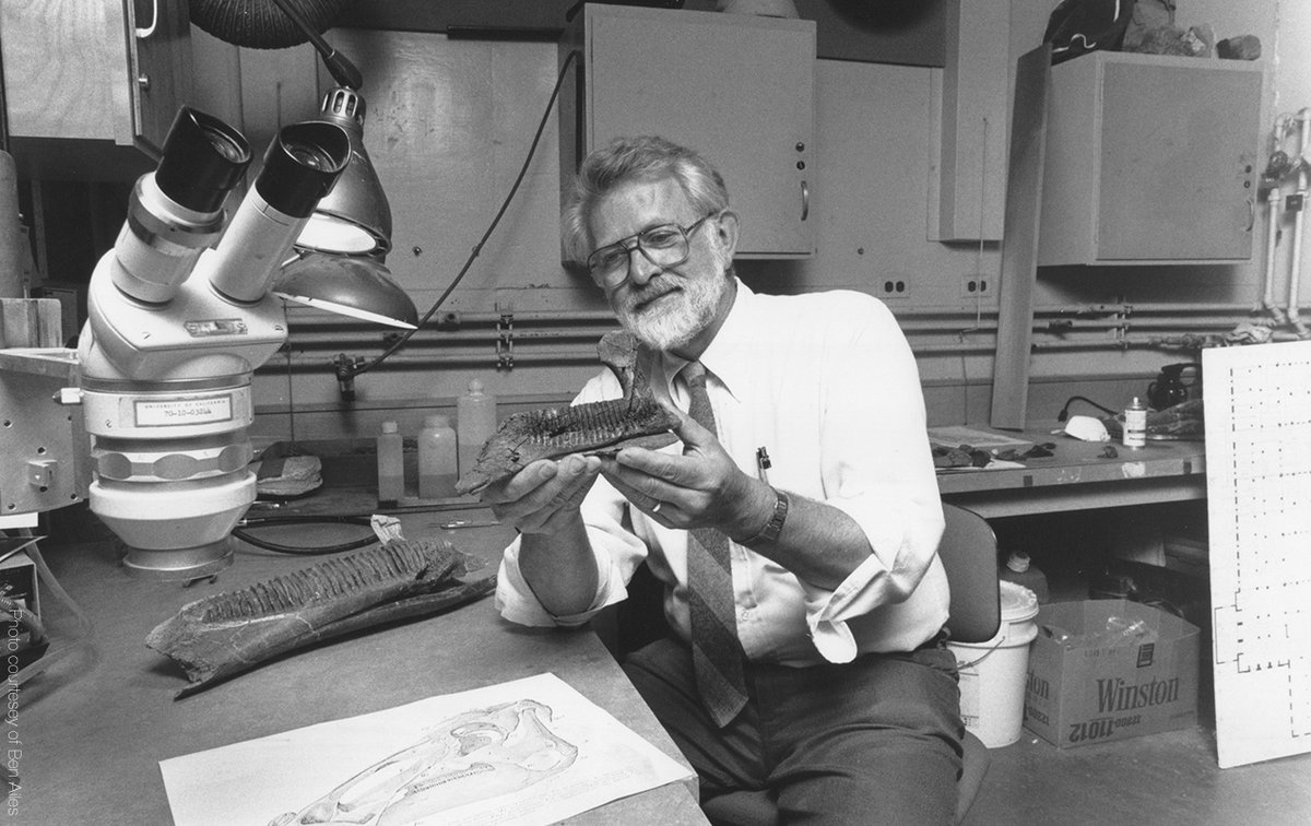 ucmpberkeley's tweet photo. 🌟Announcing the William A. Clemens Memorial Fund in Vertebrate Paleontology. This fund supports @ucmpberkeley's vertebrate #fossil collection! Make a contribution on Thursday March 9, during #CalBigGive.   https://t.co/HJk7ax32JU

#paleontology #purgatorious #hellcreekformation https://t.co/xNphanhzhx
