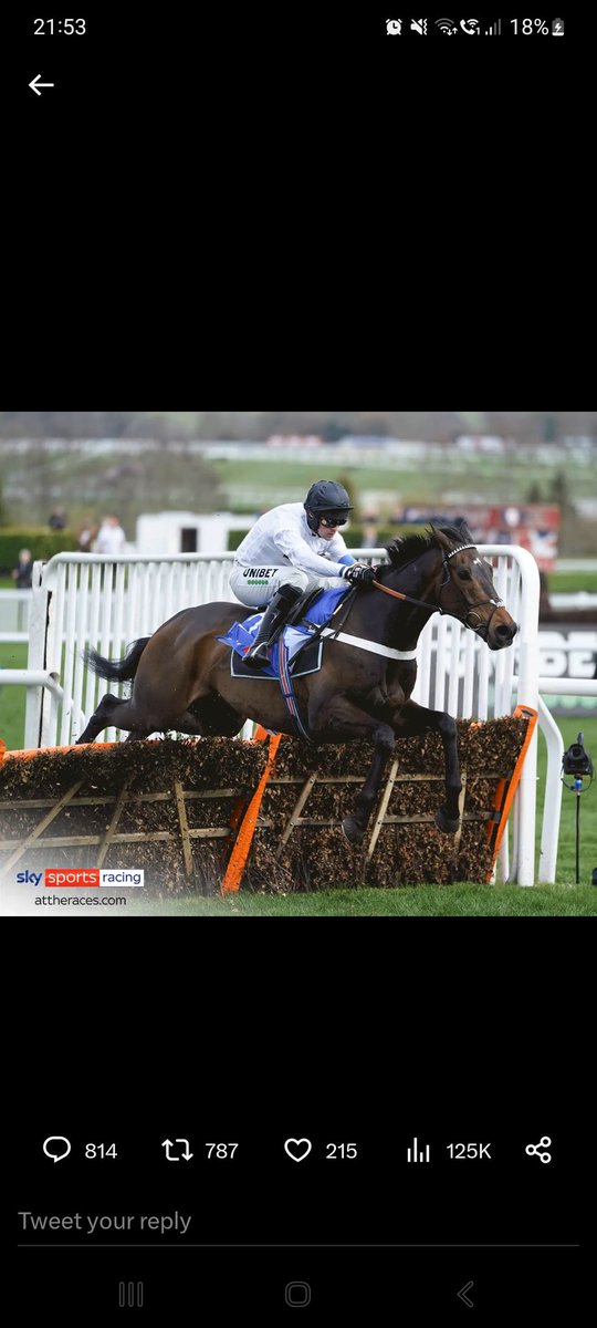 lankynoodle's tweet photo. @AtTheRaces @UnibetRacing https://t.co/IgexRpTRQZ