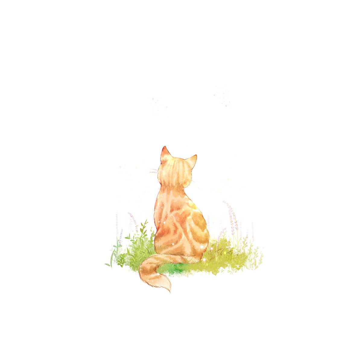 I will always remember you, my little sunshine