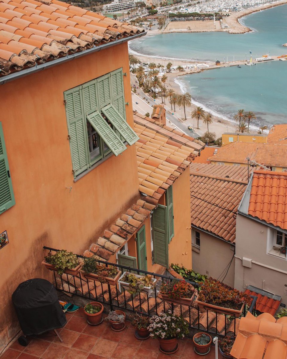 frenchwords's tweet photo. La vie est douce sur la Côte d'Azur, comme ici à Menton. 🍋💛 • Life is sweet on the Côte d'Azur, like here in Menton. • 📷 erika.kostialova https://t.co/LBHeacOzA3