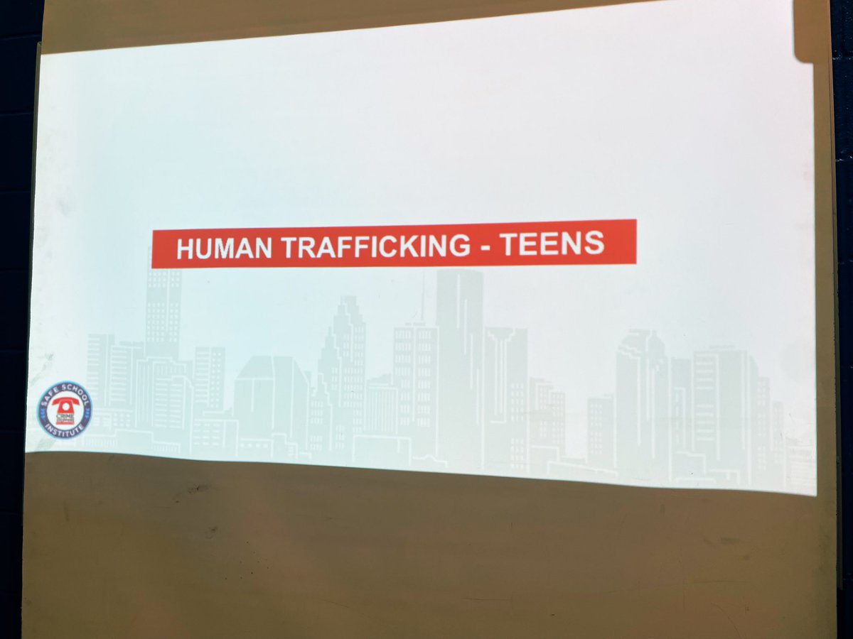 Averi J. Steen tweet media