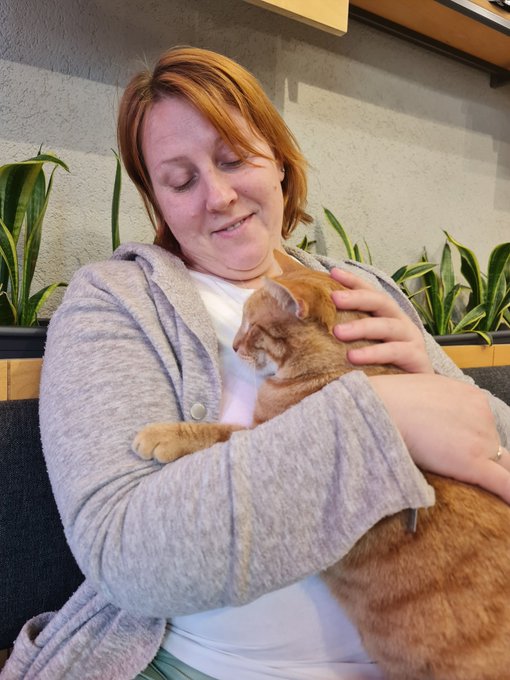 Today I was very nervous, but this miracle calmed me down. https://t.co/THCHg3CIY9