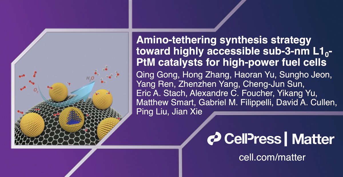 Matter_CP's tweet photo. Jian Xie & colleagues use an amino-tethering synthetic strategy for fuel cell #catalysts in #MatterIssue45! @IUPUI_EngrTech W/@GabeFilippelli & more
Read their work: https://t.co/ukAHvW9kXe https://t.co/CGTapiO5lp