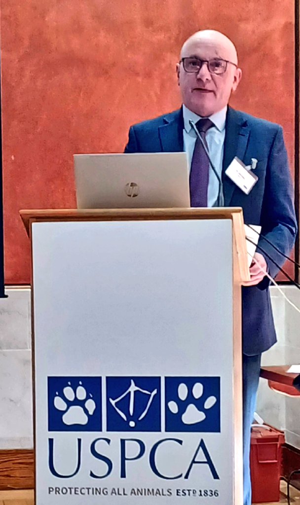 KarenDouglas_NI's tweet photo. Attended the @USPCA_Official Badger Baiting NI Report launch today. Harrowing evidence of animal cruelty across NI. We need robust legislation in NI to hold perpetrators to account and protect badgers #endbadgerbaiting #USPCA 🦡🦡🐾🐾 https://t.co/r7PoI7lllA