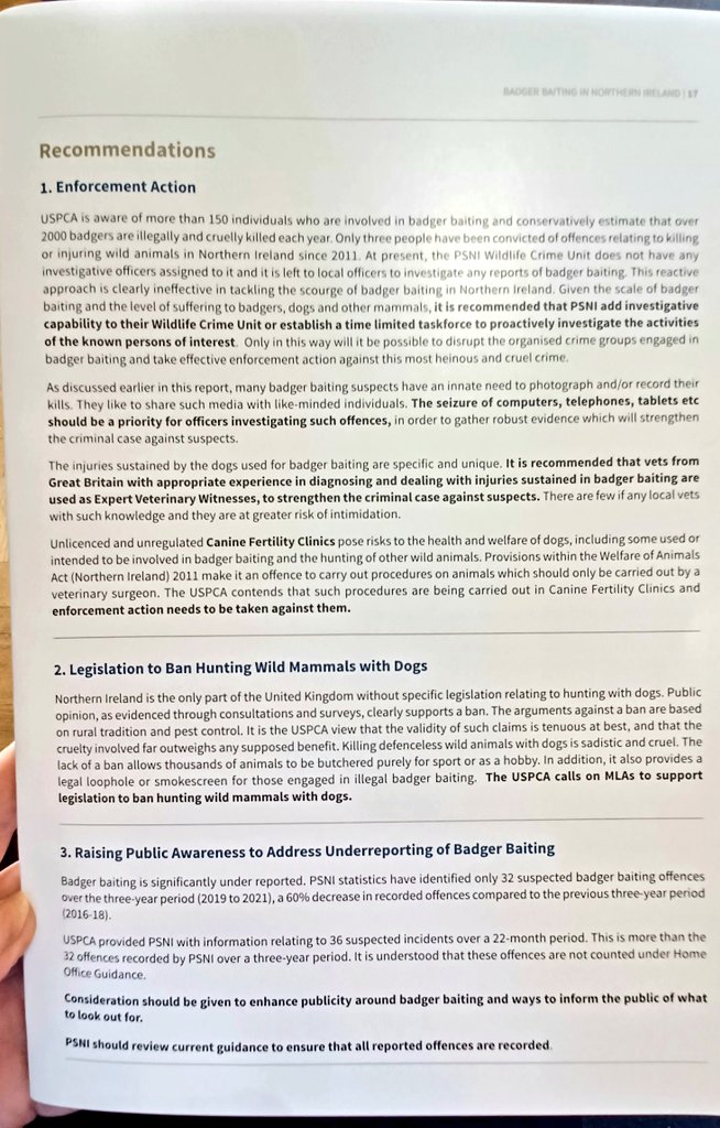 Attended the @USPCA_Official Badger Baiting NI Report launch today. Harrowing evidence of animal cruelty across NI. We need robust legislation in NI to hold perpetrators to account and protect badgers #endbadgerbaiting #USPCA 🦡🦡🐾🐾