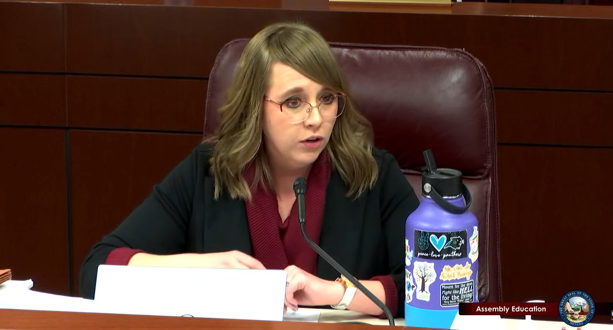 NVconservation's tweet photo. Including #OutdoorEducation in K-12 curriculum will encourage more kids to get outside + help build the next generation of stewards to our air, land, and water. @La_Rue_Hatch says getting our students outside is critical.
#AB164 #NVLEG https://t.co/RPpSObOBqt
