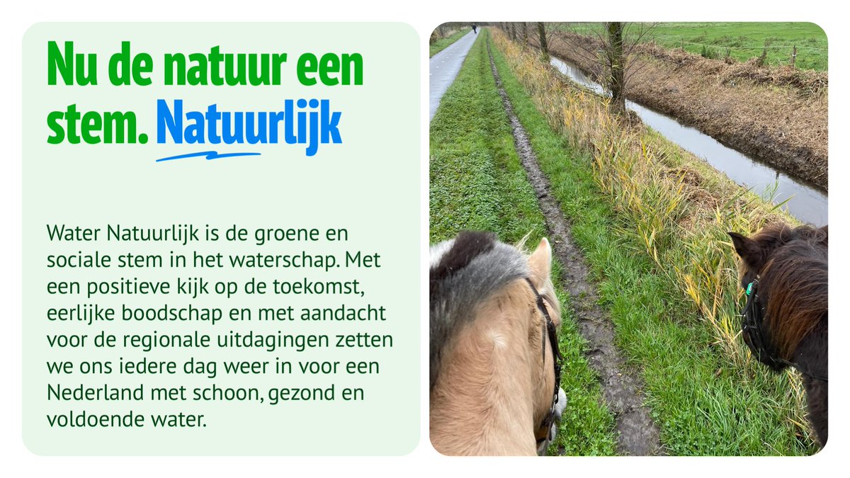 GLVlissingen's tweet photo. Wij vinden dat de natuur centraal moet staan in het waterbeheer om zo de uitputting van de leefomgeving van mens en dier tegen te gaan. Geef NU de natuur een stem tijdens de waterschapsverkiezingen op 15 maart 2023. Stem Water Natuurlijk. #waternatuurlijk #uwstemtelt #groenlinks https://t.co/HvZfwANLoL
