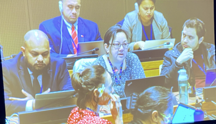 Permanent Mission of Nauru to the UN tweet media