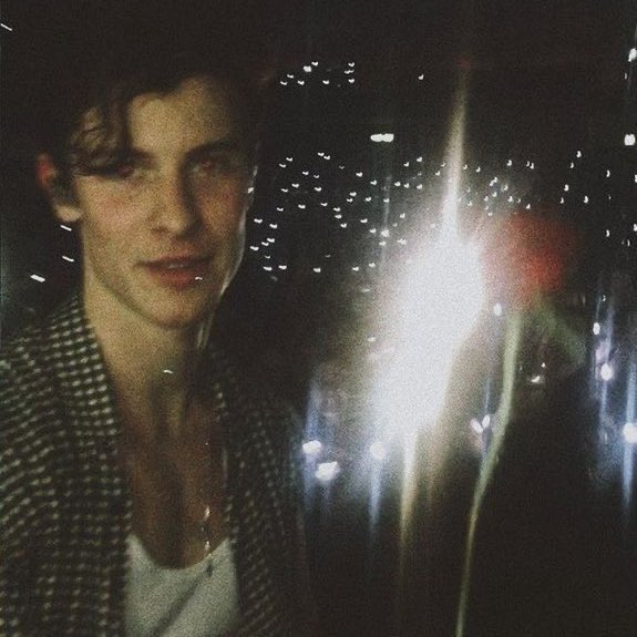 shittokindaok's tweet photo. shawn mendes: the tour (2019) https://t.co/h4LDjlhOVB