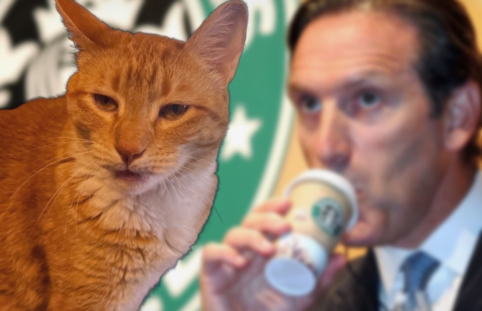 JortsTheCat's tweet image. I have some pointed questions for this guy (and they aren’t even about the way he sips coffee) #DearHoward