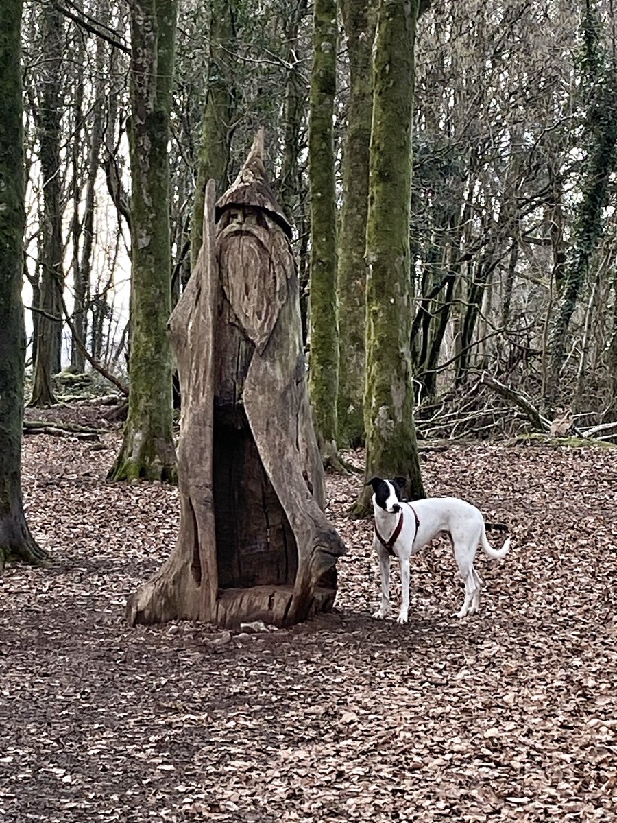 cross_as_hell's tweet photo. Nice mooch today #castellcoch #ilovesthediff https://t.co/Q3yG70b5DP