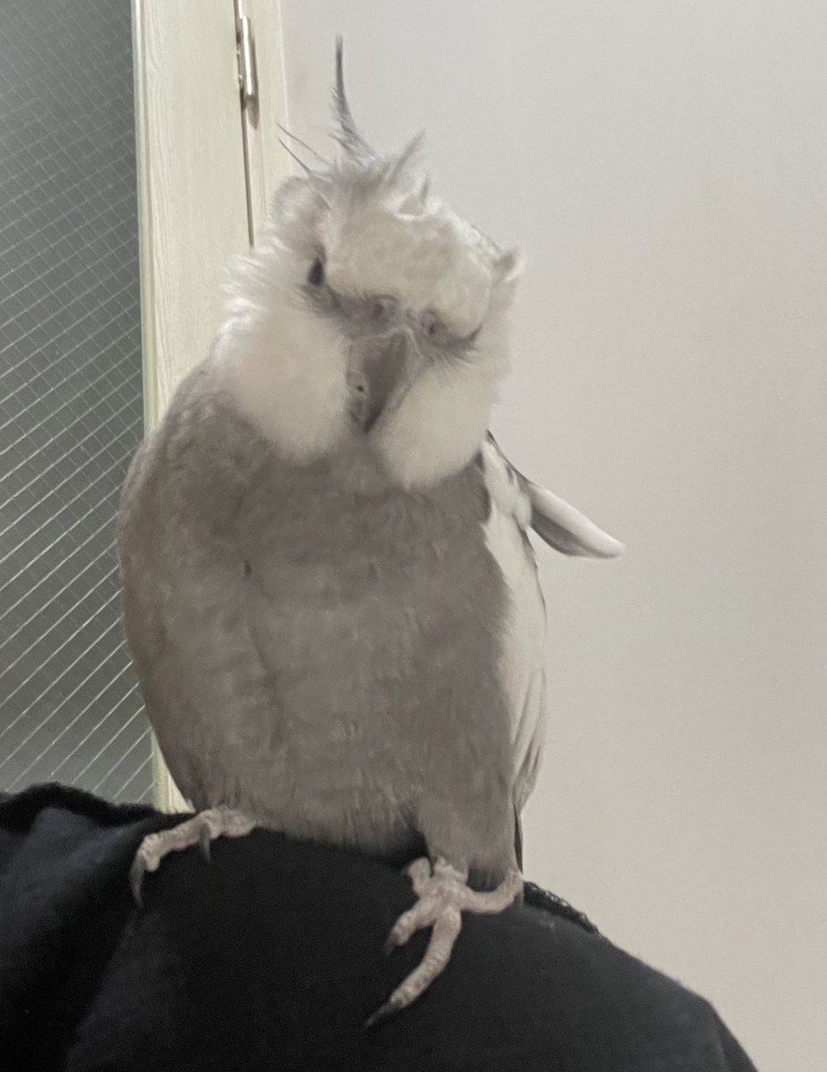 긁긁받고 머리 헝클어짐 ㅋㅋ