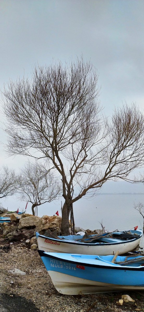 İnsan değerini kendi belirler.