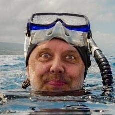 VeightBen's tweet photo. #NouvellePhotoDeProfil https://t.co/I2wzu23dBp