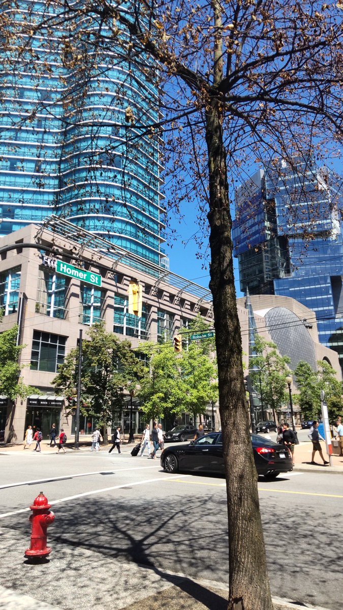 Life is full of beauty. Notice it. Notice the bumble bee, the small child, and the smiling faces. Smell the rain, and feel the wind. Live your life to the fullest potential, and fight for your dreams.