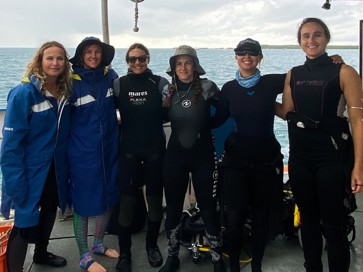 On #InternationalWomensDay we’re celebrating AIMS women who are in the field. As expedition leaders, researchers, technicians or communicators, field work requires leadership, tenacity, adaptability, resilience &amp; awesomeness.

📸from all-women, all-awesome AIMS field teams.