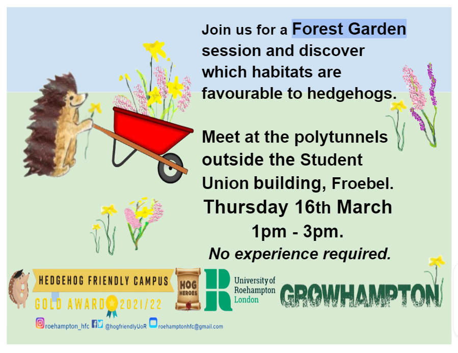 University of Roehampton Hedgehog Friendly Campus tweet media