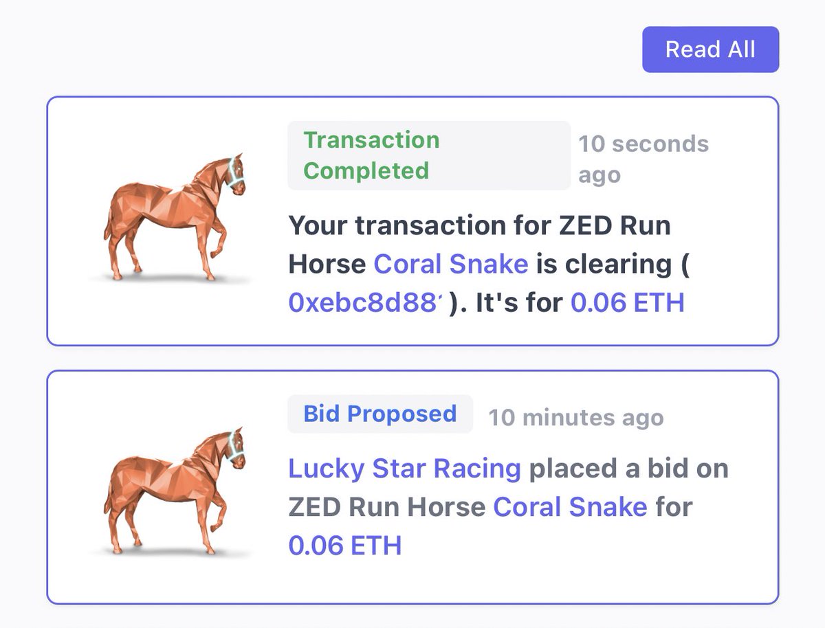 ADifferent8reed's tweet photo. Thanks @LuckyStarRacing for your bid! Accepted! Best of Luck with her! https://t.co/WcXEuZ3kfC