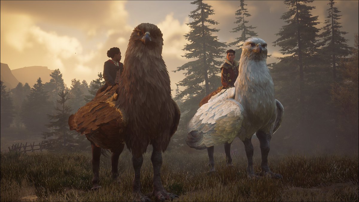 Captain Chunky tweet media