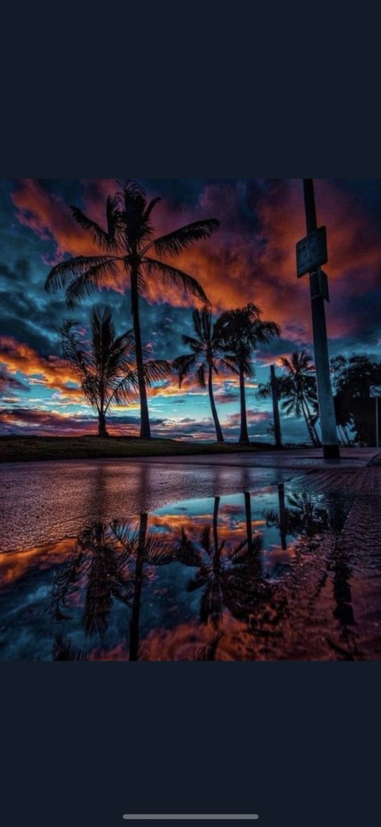 It seems to me that the natural world is the greatest source of excitement; the greatest source of visual beauty; the greatest source of intellectual interest. It is the greatest source of so much in life that makes life worth living.