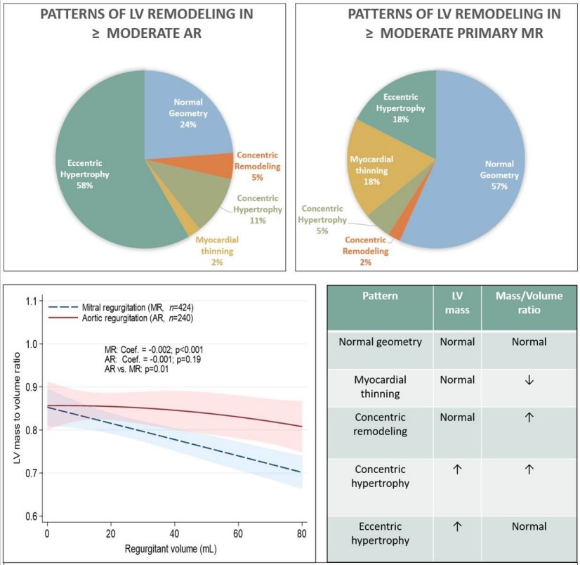 CircImaging (@circimaging) on Twitter photo In aortic vs mitral regurgitation patients, CMR highlights key differences in cardiac remodeling, tissue characteristics, symptoms, and cardiac output <a href="/MaanMalahfji/">Maan Malahfji</a> <a href="/DipanJShah/">Dipan J. Shah, MD</a> <a href="/HMethodistCV/">Houston Methodist CV</a> <a href="/AllisonGHaysMD/">Allison G. Hays, MD</a> #AHAJournals ahajrnls.org/3JkSwVf In aortic vs mitral regurgitation patients, CMR highlights key differences in cardiac remodeling, tissue characteristics, symptoms, and cardiac output <a href="/MaanMalahfji/">Maan Malahfji</a> <a href="/DipanJShah/">Dipan J. Shah, MD</a> <a href="/HMethodistCV/">Houston Methodist CV</a> <a href="/AllisonGHaysMD/">Allison G. Hays, MD</a> #AHAJournals ahajrnls.org/3JkSwVf