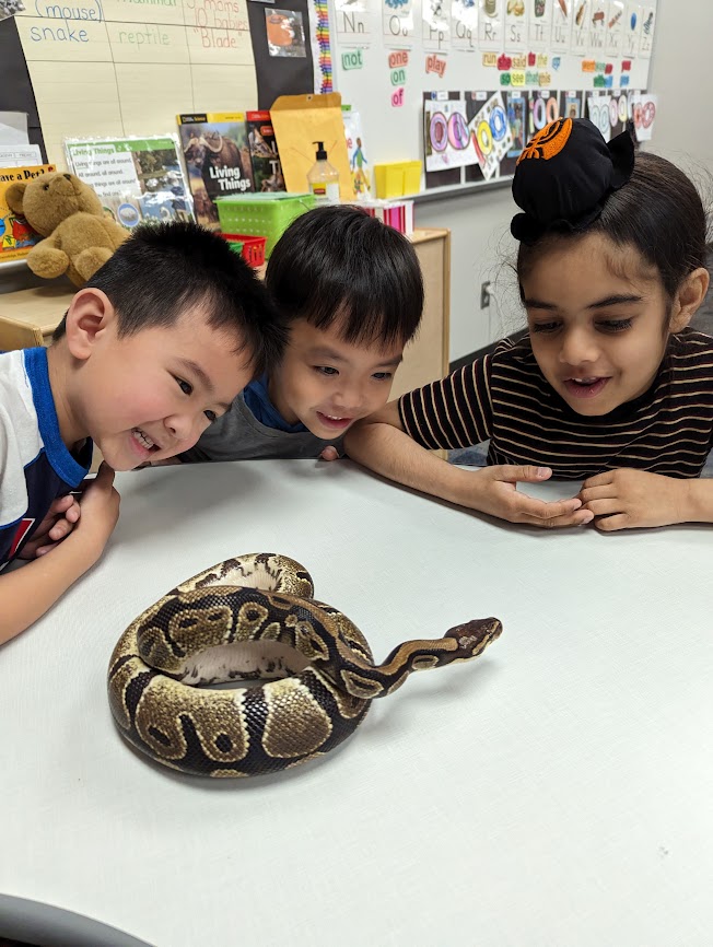 Sandra Mroz tweet media