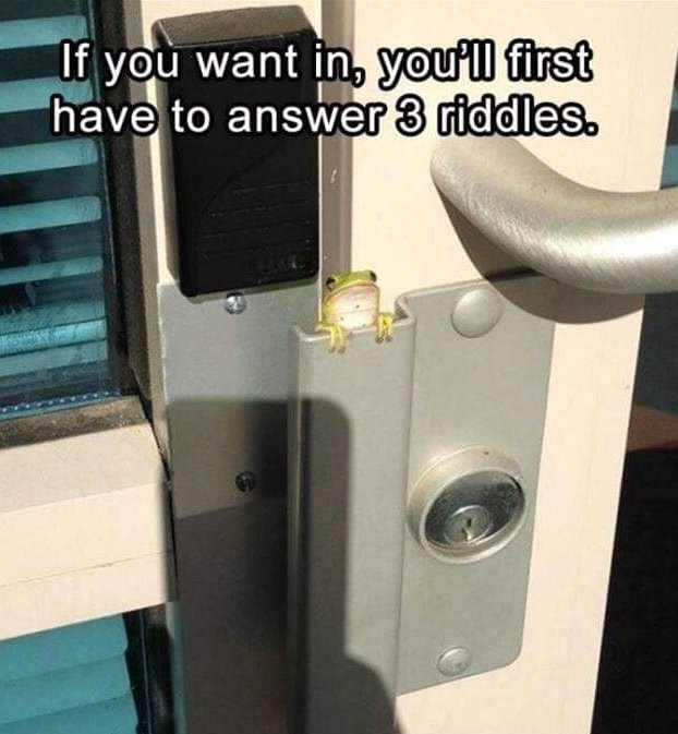 Rustic Toaster tweet media