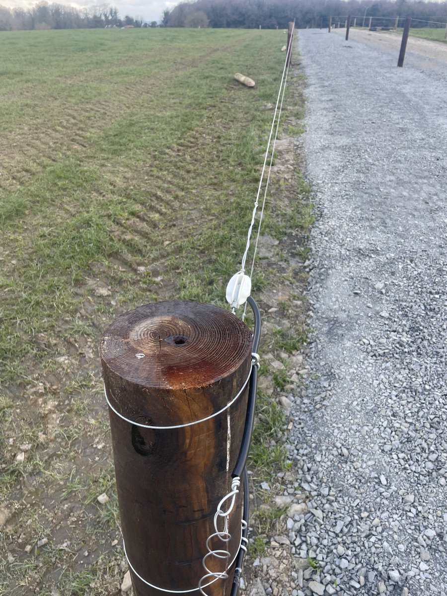 Lynch Fencing tweet media