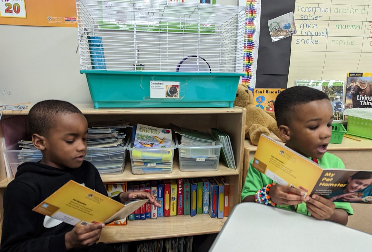 Sandra Mroz tweet media