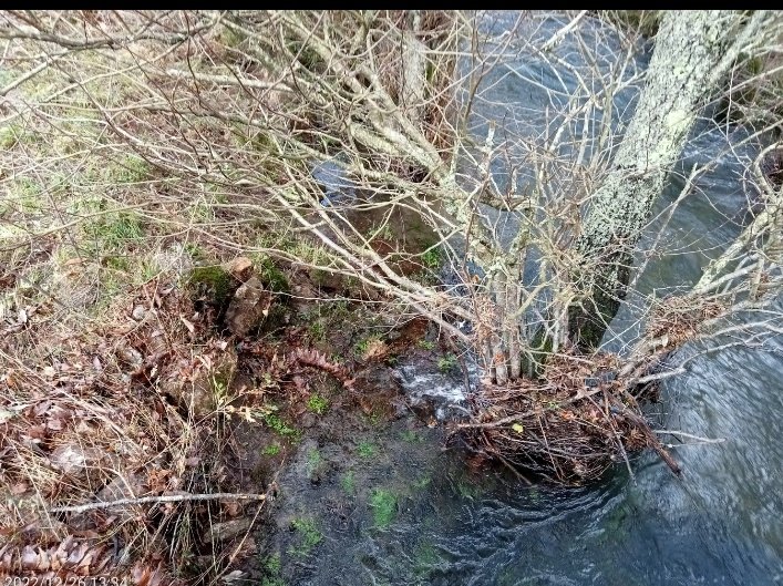 GFAugasGalicia's tweet image. ...dando por perdida a conectividade fluvial, coa erosión de marxes e a torrencialidade  das augas.